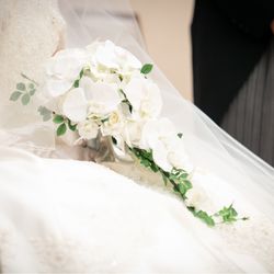 帝国ホテル 東京の写真30枚目