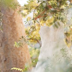 メゾン プルミエールの写真1枚目