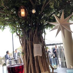 SOLA KOBEの写真15枚目