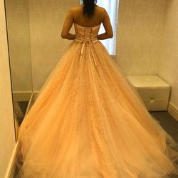 アートグレイス ネクスト アシヤの写真5枚目