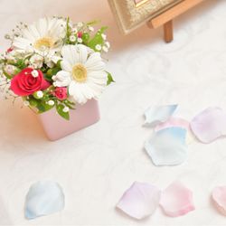 グランアーモの写真4枚目