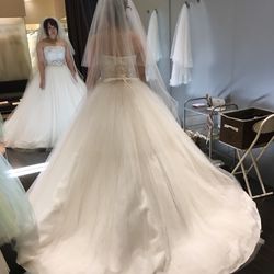 IN THE SUITEの写真14枚目