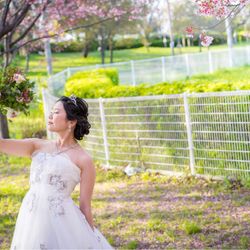 厳島神社の写真17枚目