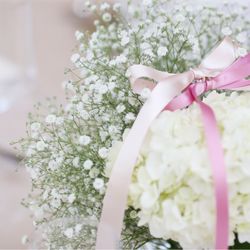 SOLA KOBEの写真33枚目