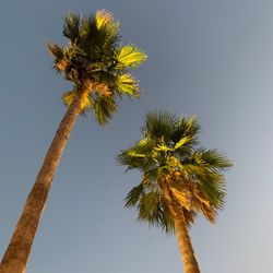 THE BEACHの写真23枚目