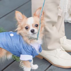 ユニオンハーバーの写真11枚目