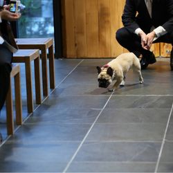 TRUNK HOTELの写真31枚目