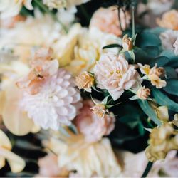 リバーバンク大阪の写真10枚目