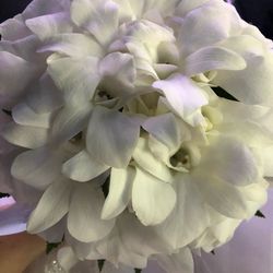 キャルバリー・バイ・ザ・シー教会の写真26枚目