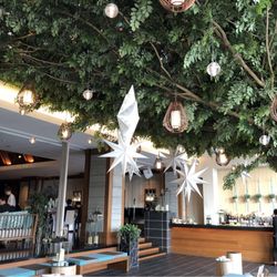 SOLA KOBEの写真5枚目