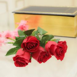 ベルナールの写真2枚目