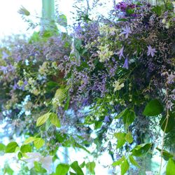 ザ・ガーデンオリエンタル大阪の写真6枚目