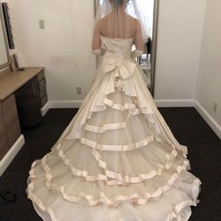 リッツファイブの写真13枚目