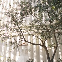 メゾン プルミエールの写真7枚目