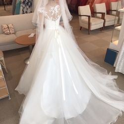 リビエラ逗子マリーナの写真28枚目