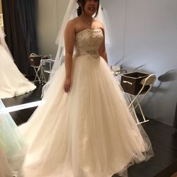 IN THE SUITEの写真35枚目