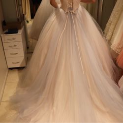 八芳園の写真34枚目