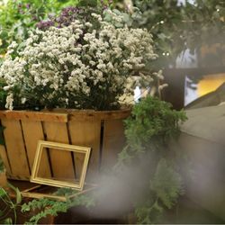 ブランリール大阪の写真15枚目