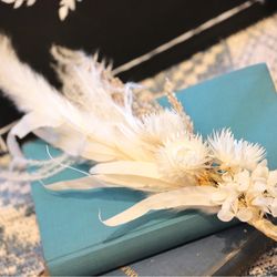 マウロ・アネーラの写真10枚目