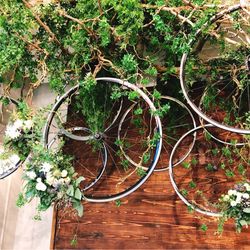 TRUNK BY SHOTO GALLERYの写真23枚目