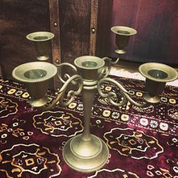 セレス高田馬場 Santa Angeliの写真3枚目