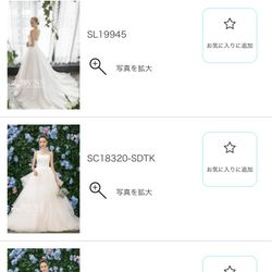 ブルーアステールの写真15枚目