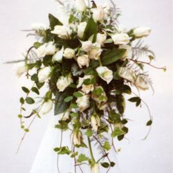 Restaurant mitteの写真20枚目