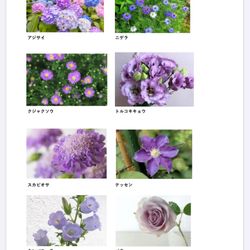 アートグレイス ネクスト アシヤの写真28枚目