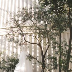 メゾン プルミエールの写真3枚目