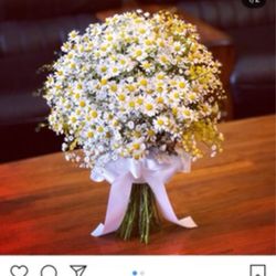 ラグナヴェール名古屋の写真16枚目