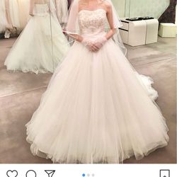 ザ レインボー チャペルの写真14枚目