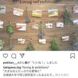 ハートコート横浜の写真33枚目