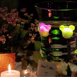 カサ・デ・アンジェラの写真12枚目