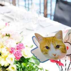 葉山庵　Ｔｏｋｙｏの写真24枚目