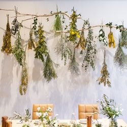 sprg__trunk_さんの披露宴・挙式カバー写真