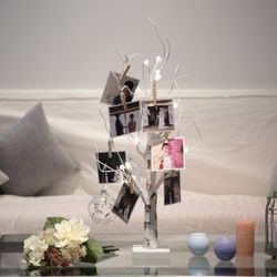 TRUNK HOTELの写真36枚目