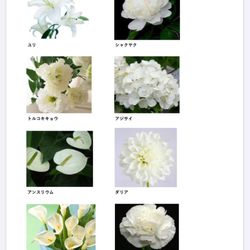 アートグレイス ネクスト アシヤの写真17枚目