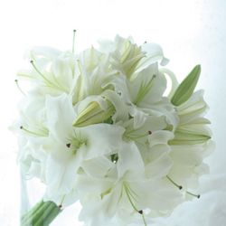 ストリングスホテル名古屋の写真5枚目