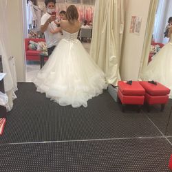 アヴァンセリアン東京の写真34枚目