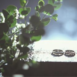 ラソールガーデン名古屋の写真33枚目