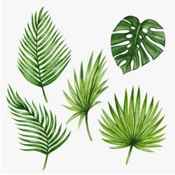 ジュエル・バイ・ザ・シーの写真8枚目