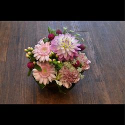 ラシック アンジュールの写真11枚目