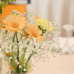 ララシャンスベルアミー 鳥栖の写真9枚目