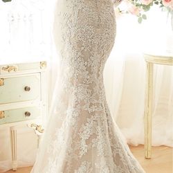 ベルヴィ アズ グレイスの写真24枚目