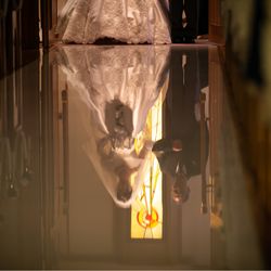 帝国ホテル 東京の写真36枚目