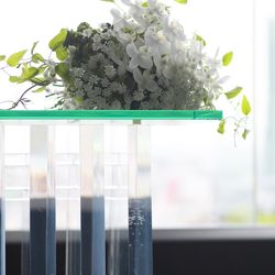 SOLA KOBEの写真11枚目