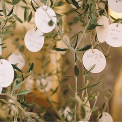 星ヶ丘迎賓館 アートグレイスクラブの写真1枚目