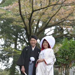 スカーサの写真14枚目