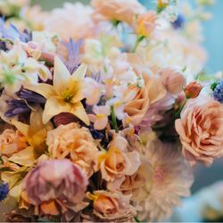 リバーバンク大阪の写真11枚目