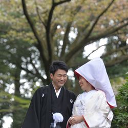 スカーサの写真28枚目